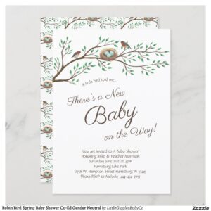 Celebrate the new baby on the way with this adorable robin birds with nest and egg shower design!  Makes for a great look for a spring shower or for co-ed and gender neutral showers too! #robin #bird #spring #baby #shower #co-ed #gender #neutral #egg #nest #Robin #Bird #Spring #Baby #Shower #Co-Ed #Gender #Neutral #Collection